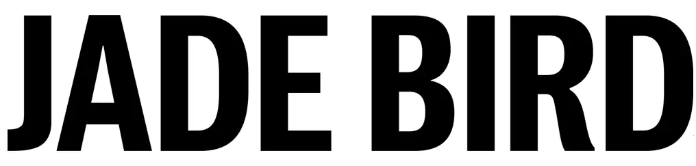JADE BIRD ME201Aeye P4 Smart Vision Aid - logo