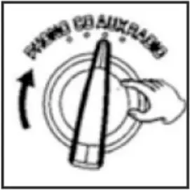 BCD118 - Playing a Record 2