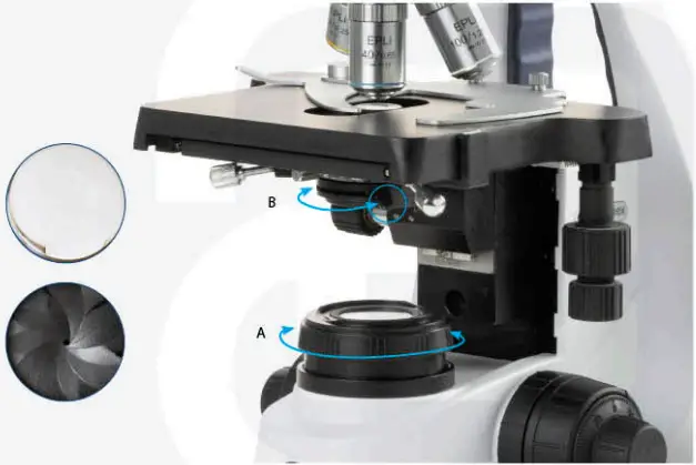euromex-bscope-BS.1153-PLI-Biological-Microscope-fig-10