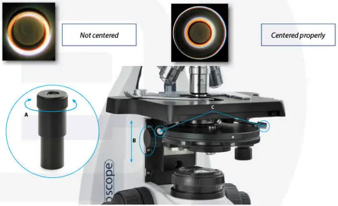 euromex-bscope-BS.1153-PLI-Biological-Microscope-fig-12