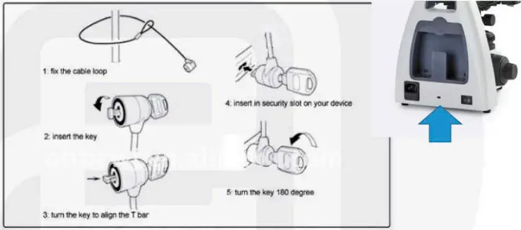 euromex-bscope-BS.1153-PLI-Biological-Microscope-fig-17