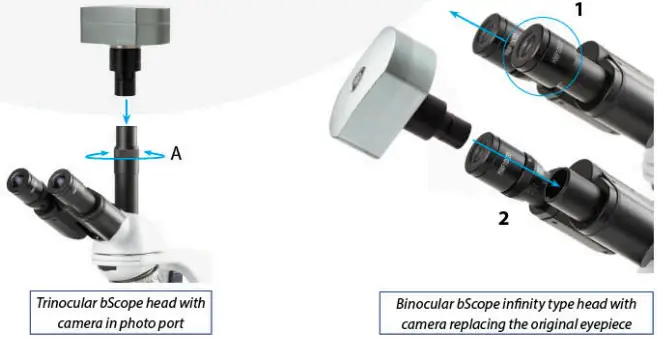 euromex-bscope-BS.1153-PLI-Biological-Microscope-fig-18