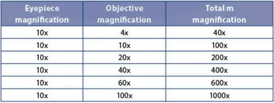 euromex-bscope-BS.1153-PLI-Biological-Microscope-fig-3