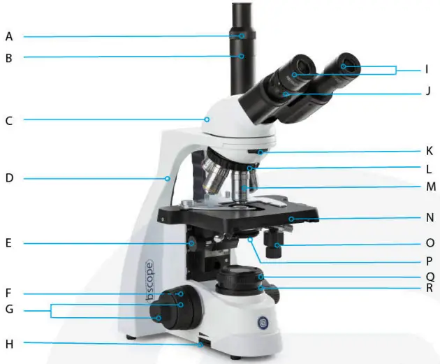 euromex-bscope-BS.1153-PLI-Biological-Microscope-fig-4