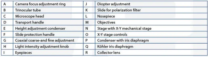 euromex-bscope-BS.1153-PLI-Biological-Microscope-fig-5
