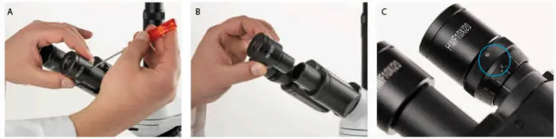 euromex-bscope-BS.1153-PLI-Biological-Microscope-fig-7