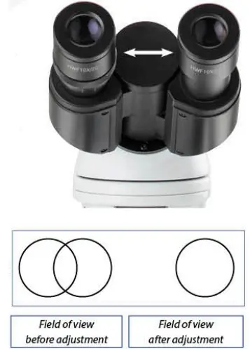 euromex-bscope-BS.1153-PLI-Biological-Microscope-fig-9