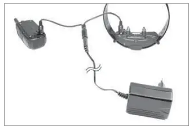 Dogtra ARC Slim Ergonomic 34-Mile Remote Dog Training E-Collar (10)