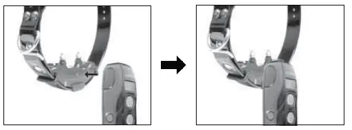 Dogtra ARC Slim Ergonomic 34-Mile Remote Dog Training E-Collar (5)