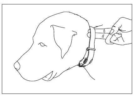 Dogtra ARC Slim Ergonomic 34-Mile Remote Dog Training E-Collar (7)