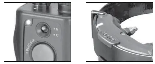 Dogtra ARC Slim Ergonomic 34-Mile Remote Dog Training E-Collar (9)