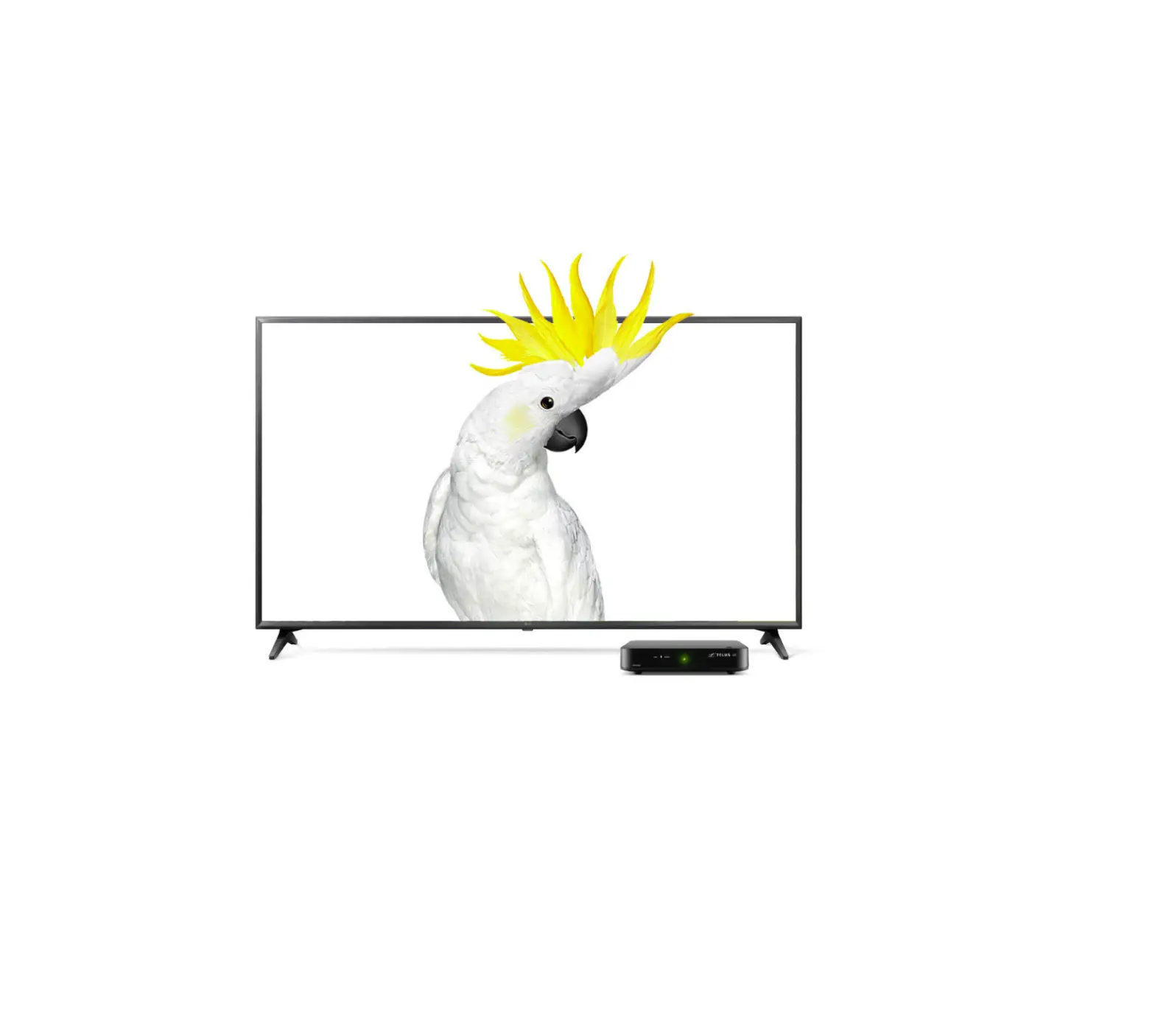 Telus 21-0663 Optik Tv 4k Tv Experience Ultra Hd User Guide