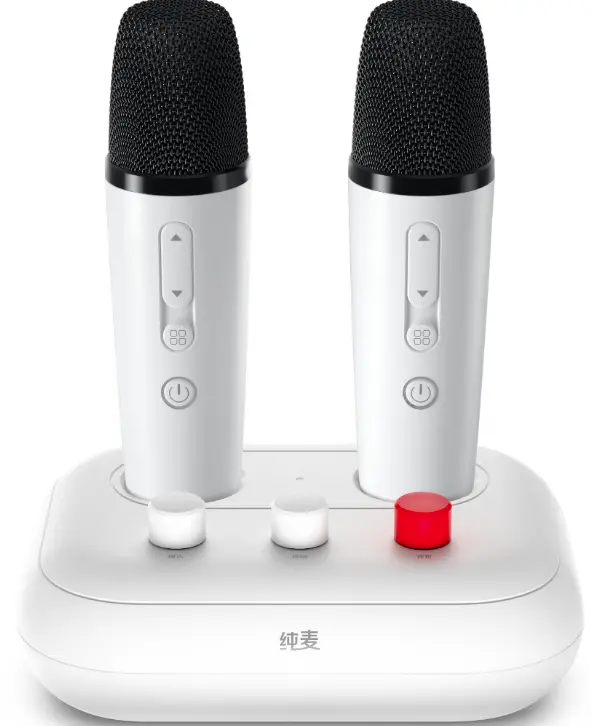 PUREMIC-Karaoke-Mixer-Set-X2-PRO