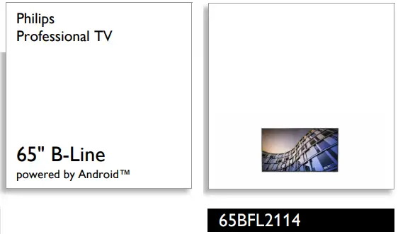 PHILIPS 65BFL2114 65 Inch B Line Professional TV - fig 2