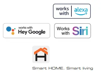 NEXXT SOLUTIONS -icon8