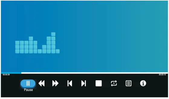 CHiQ L40G5W 40 Inch Full HD LED TV - Music Files