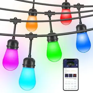 Govee H7002 LED Bulb String Light