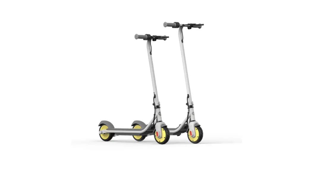 Segway Zing C20 Ninebot Ekickscooter User Manual Segway Zing C20 Ninebot Ekickscooter User Manual
