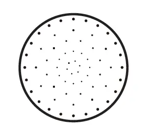 Fancii-CALI-Callus-Remover-fig-2