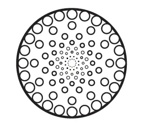 Fancii-CALI-Callus-Remover-fig-3