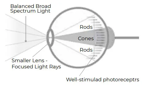 iGear iG-1073 Bright Light Light Therapy Lamp - Benifits