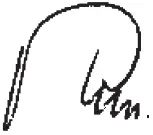 Gude GFS 1503 B Cordless Brush Cutter - Sig