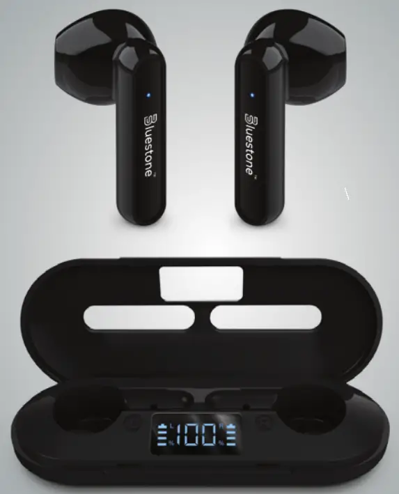 SM Tek Group TWS22 True Wireless Earbuds
