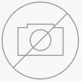 FISHER PAYKEL ADDW60PX Dishwasher Door Panel Only -