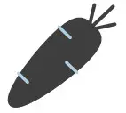 Carrots Icon