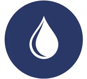 THE HOME DEPOT 1054 6 Inch Pothos Epipremnum Neon Plant in Grower Pot 2