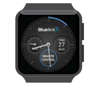 HYUNDAI-Time to-sync-your-Smartwatch-with-Bluelink-FIG- (4)