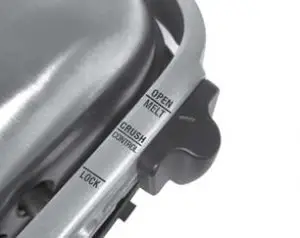 FIG 3 OPEN SANDWICH MELTS