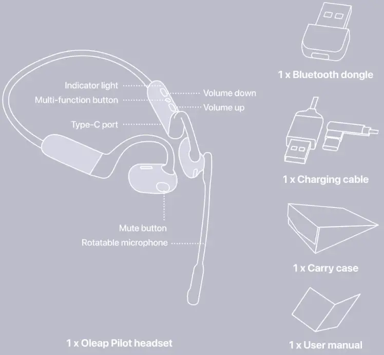 Shenzhen Huangli Technologies Wireless Headset - Figure 1