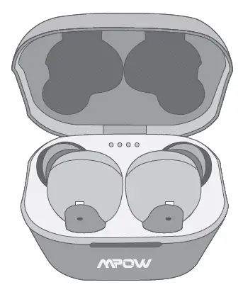 True Wireless Earbuds