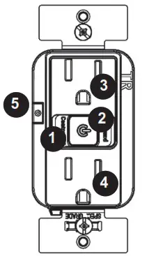 legrand WNRR15 Radiant 15 Ampere Tamper Resistant Electrical Outlet - INSTALLATION and SETUP 5