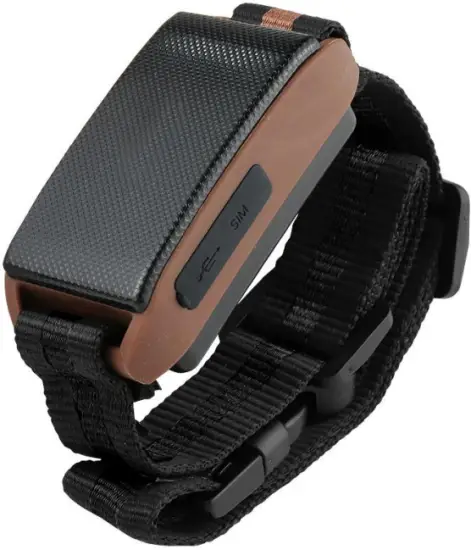 Guangdong BN-201 Pet GPS Tracker