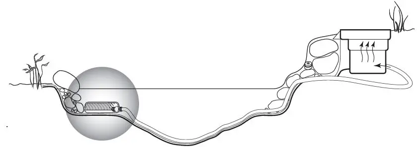 Aquascape 91011 Aquaforce Pond Pump fig4