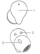 Shenzhenshishuangsikejiyouxiangongsi T-Z 2