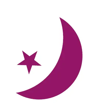 Netmostat N-1 Programmable Room Thermostat 12