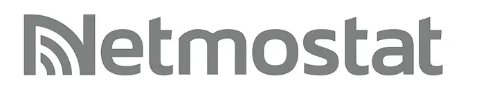 Netmostat N-1 Programmable Room Thermostat logo