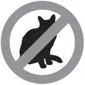 No Cat