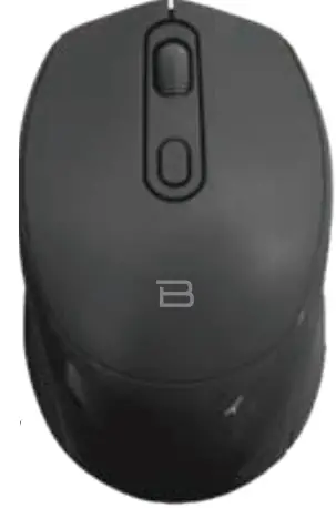 BYTECH MSWS104 Wireless Optical Mouse-fig1