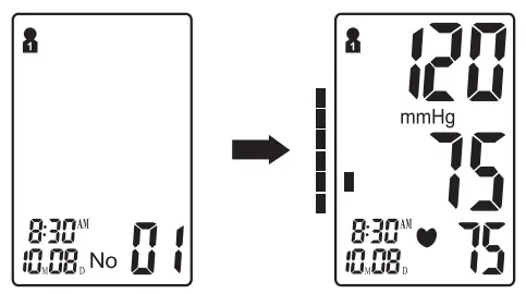 anko DBP 1358 Arm Type Fully Automatic Digital Blood Pressure Monitor - Memory Check