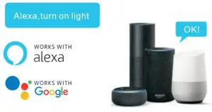 Shenzhen New Brightness Technology WIFIBLE A19 WiFi Smart Bulb - 1