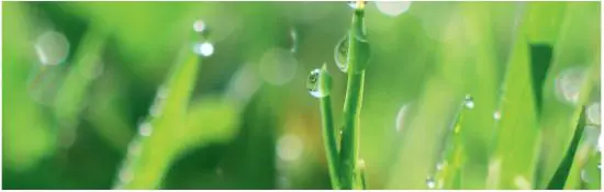 GARDENA Sileno City Robotic Lawn Mower - boundary wire 2