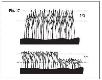 SUNJOE-MJ500M-Manual-Reel-Mower-fig-18