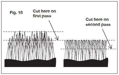 SUNJOE-MJ500M-Manual-Reel-Mower-fig-19