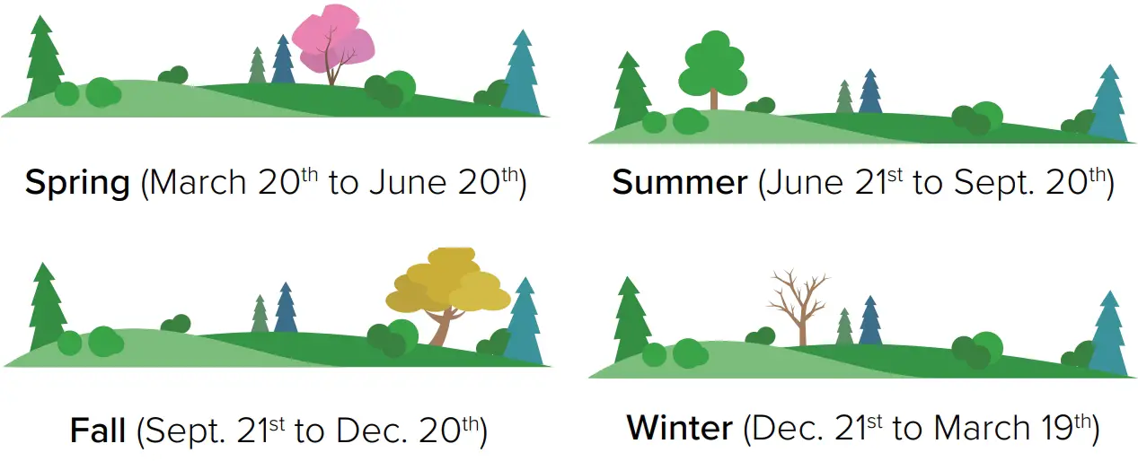 Seasonal Trees Changes
