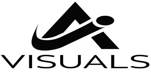 VISUAL logo