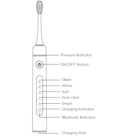Bitvae S2 Sonic Electric Toothbrush - figure 1